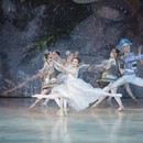 О балете «Щелкунчик», или Ещё одна рождественская история